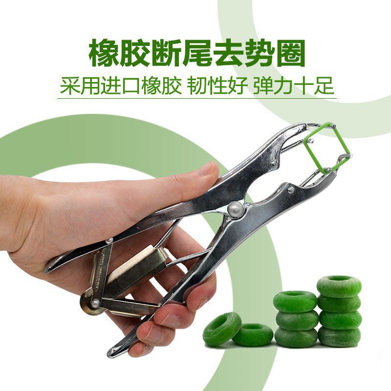 Grazing pig and sheep with stainless steel expansion clip, tailing clip, animal castration clip bloodless castration clip