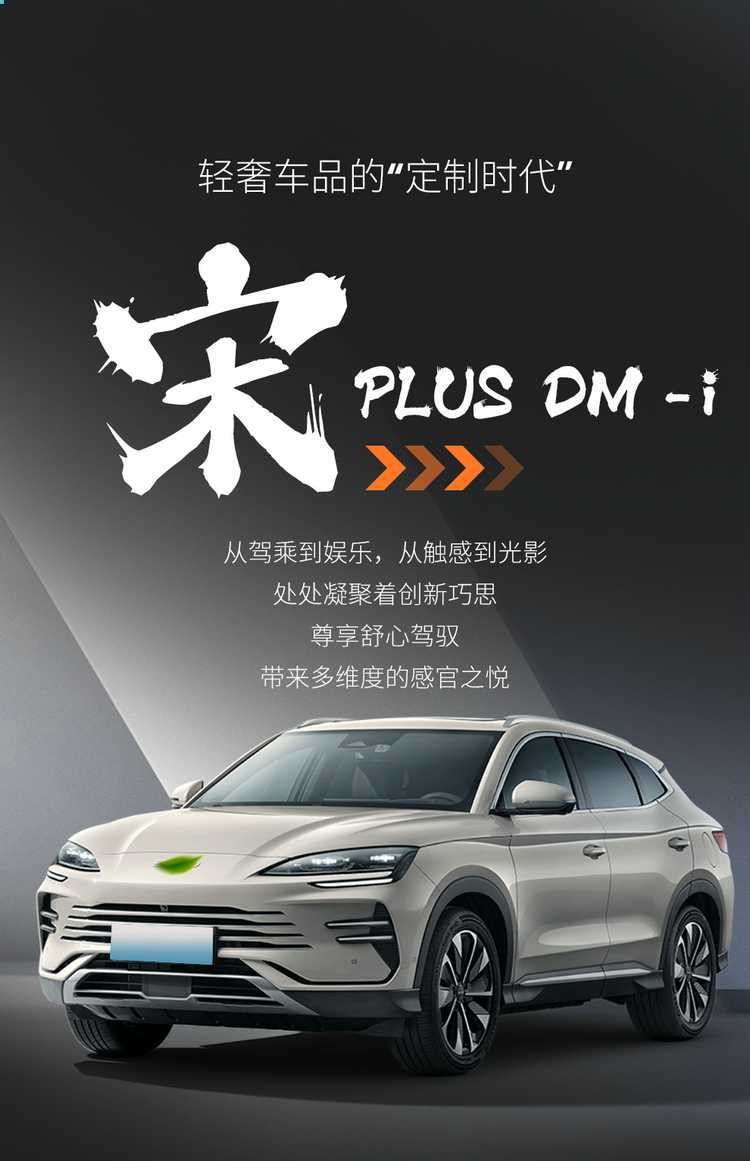 Suitable for BYD Song plusdmi full enclosure seat cover 25 ev special cushion car supplies seat cover