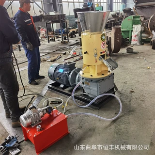 木屑颗粒全套生产线设备 小型木粉挤压制粒机 210型生物质颗粒机
