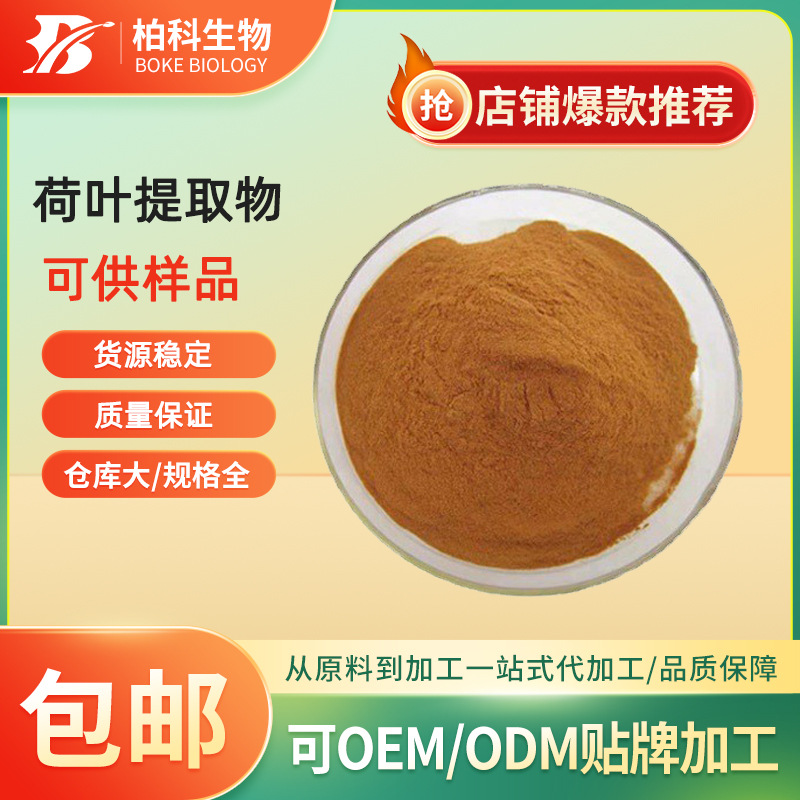 荷叶提取物10:1 水溶性荷叶粉  现货供应植物提取物荷叶粉末