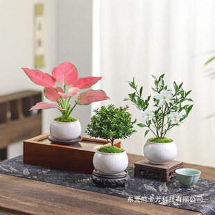 �����t����С�~���ֲ���k�������B�Gֲ�҃ȿ͏d�ļ������[���辰