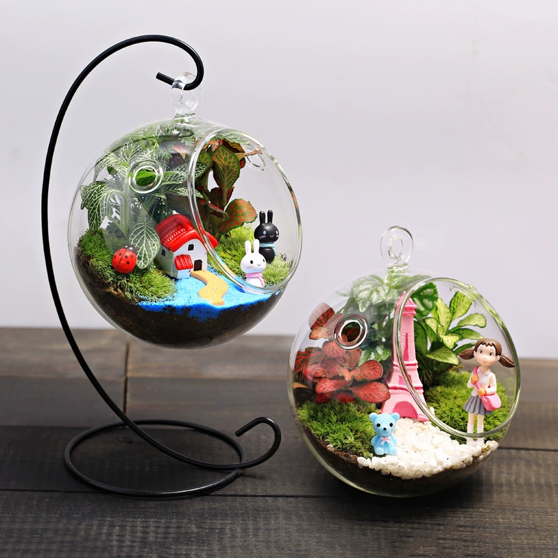 Боковой костюм с двойным отверстием Креативный микропейзаж Экологическая бутылка Стеклянная бутылка Мясистый мох DIY Материал Сумка Рождественский подарок