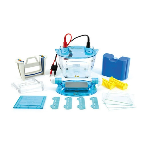 Пекин Люи DYCZ-24K DYCZ-24KS двухдосный вертикальный электрофорез