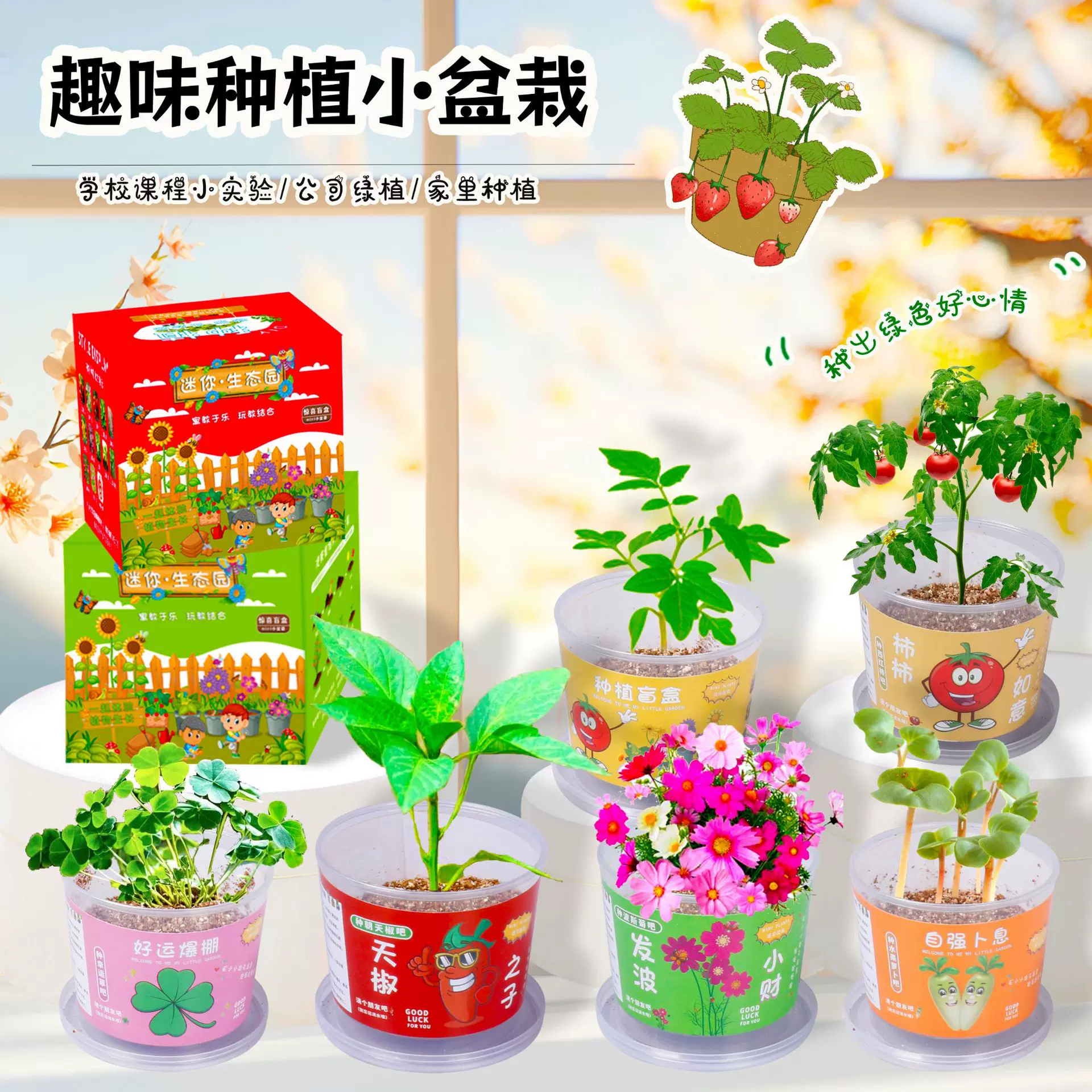 植树节种植盲盒小盆栽幼儿园开学季桌面室内种植观察小树苗批发