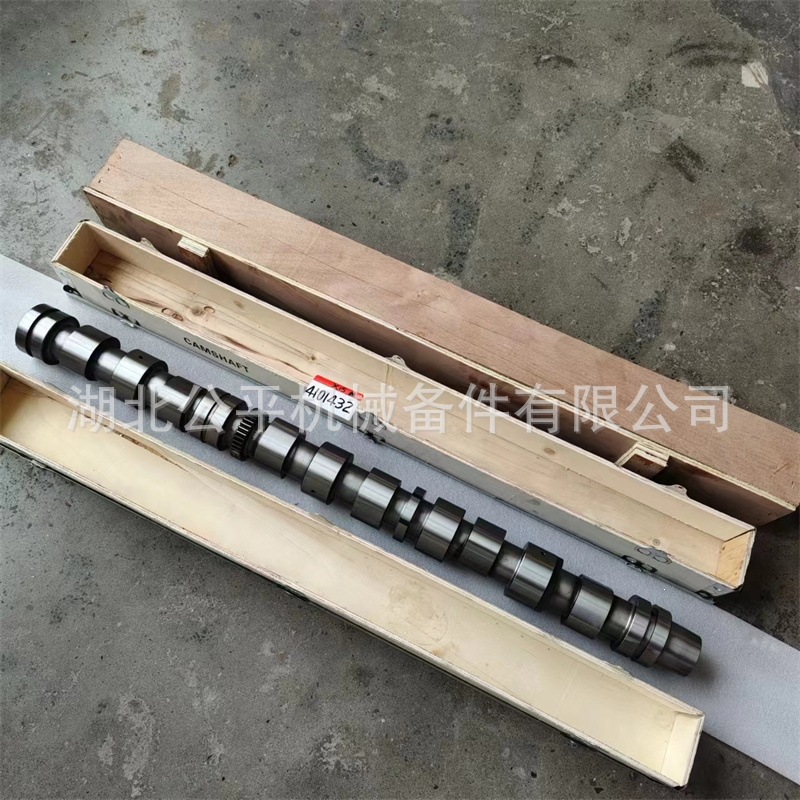 Direct Supply from the Manufacturer, Wholesale and Retail of Construction Machinery Engines Nt855 Camshaft 3042568