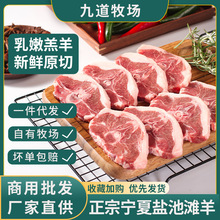 宁夏盐池滩羊羔羊蝴蝶排新鲜羊肉餐饮商用食材批发宁夏滩羊