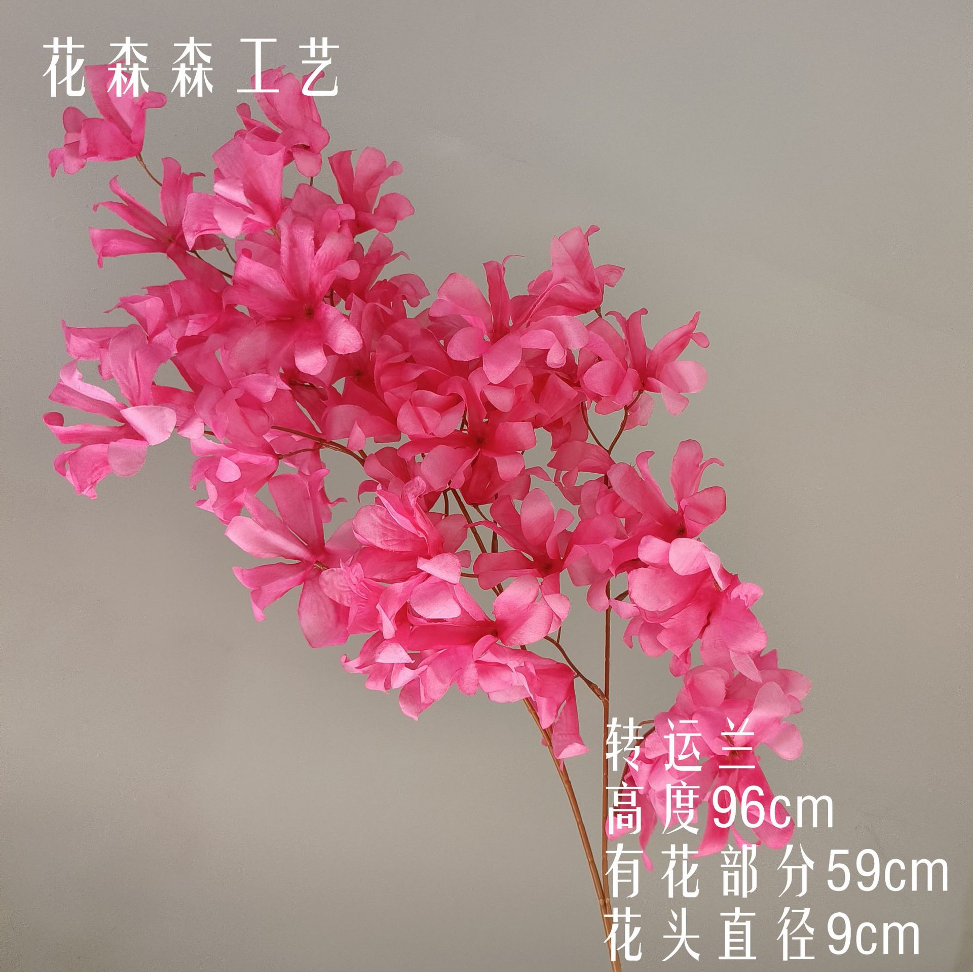 환적 난초 141947