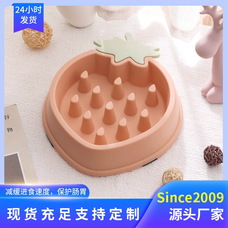 Домашняя миска для кошек. Маленькая собачка. Маленькая собачка.