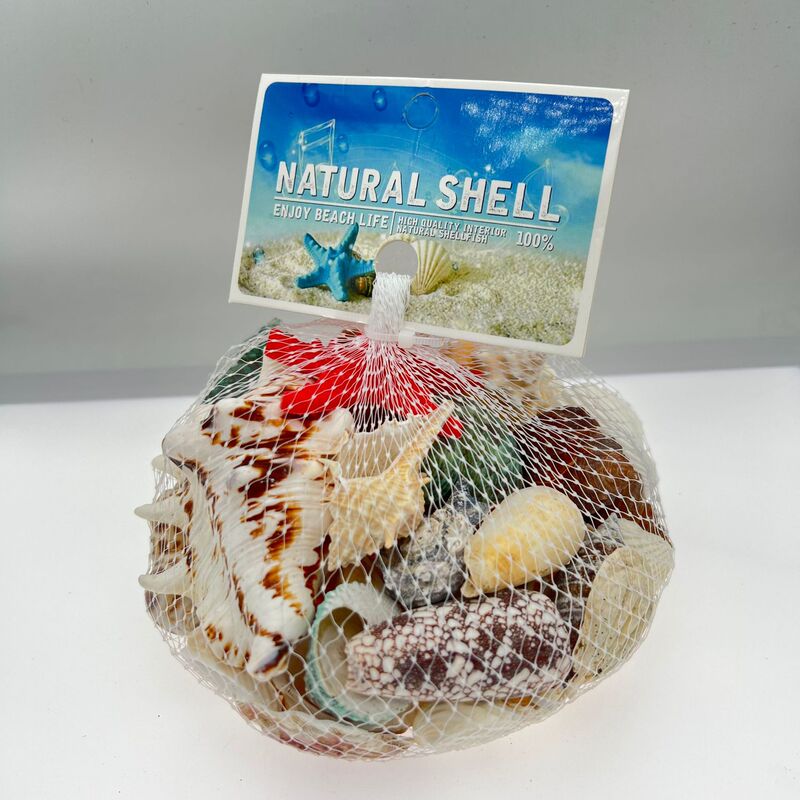 Natural Shells, Conch Shells, Starfish, Fish Tank Landscaping Decorations, Wholesale Wind Chimes, DIY Crafts, Kindergarten Souvenirs