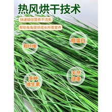 ���Ӳ���Ħ���ɲݕ�ɺ���~���������i��������üZһ�����lֱ�N