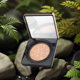 Color Diary air cushion concealer strong moisturizing BB cream Black Pearl air cushion cc cream upgraded one-piece delivery