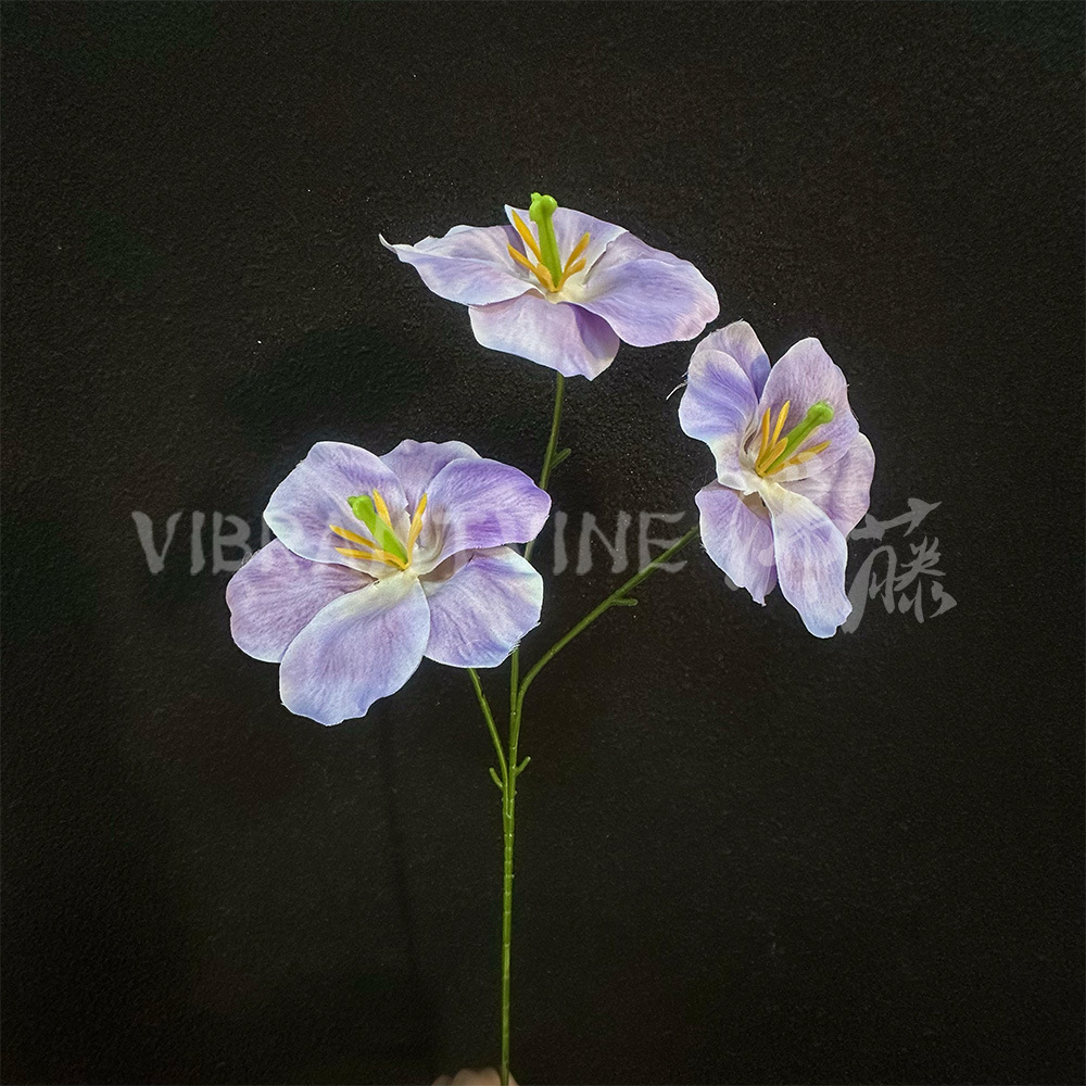 보라색