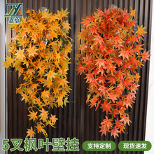 �f�}���b���5����~�ڒ��ٗl�}�Q����ֲ���c�Ҿӵ��ߔ[��