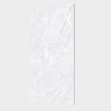 VɴuSֱN600*1200ͨwʯɴu͏dذu