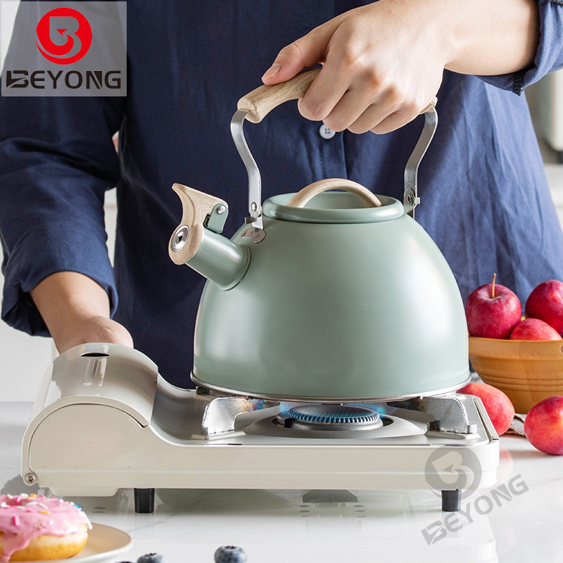 Cross-border light green foldable handle whistle kettle Amazon sound kettle European and American exquisite 3L whistling kettle flat