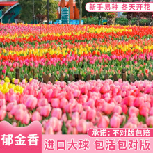 10wNˮ໨ܶ_ļN׻ԻNl