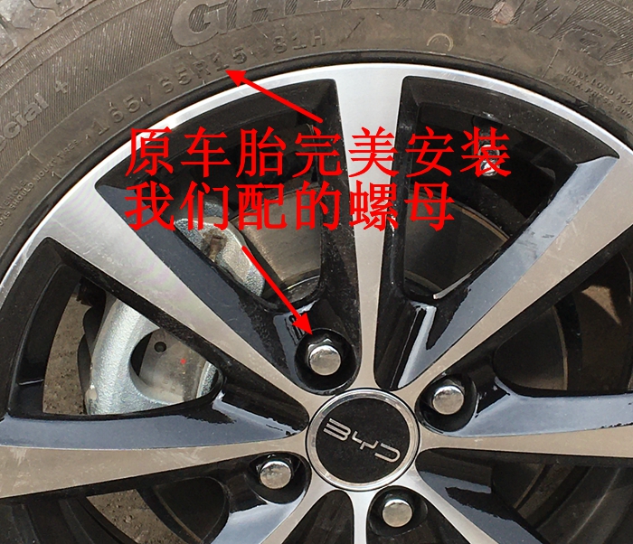 Suitable for Byd Su Rui Qin Dolphin Modified Seagull Hub Wheels