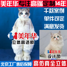 ���������Afurry��ż�����ƫF�b؈����؈��ͨ��cos�������S��ֱ��