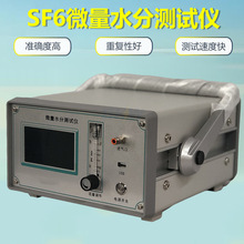微机型SF6微水测试仪 微水仪 六氟化硫微水测量仪 SF6水分计