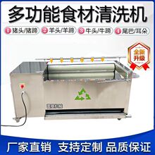 商用猪头猪蹄清洗机马蹄天麻生蚝多功能自动羊头羊蹄清洗机洗肉机