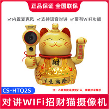 ������ҕ���v���l�W��ؔ؈�z���^�CDS-IPC-E52H-IWT