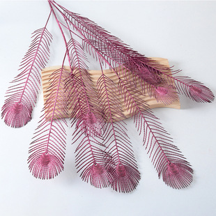 ȸβ Pβ ȸ~ Gֲٻ滨czӰbl