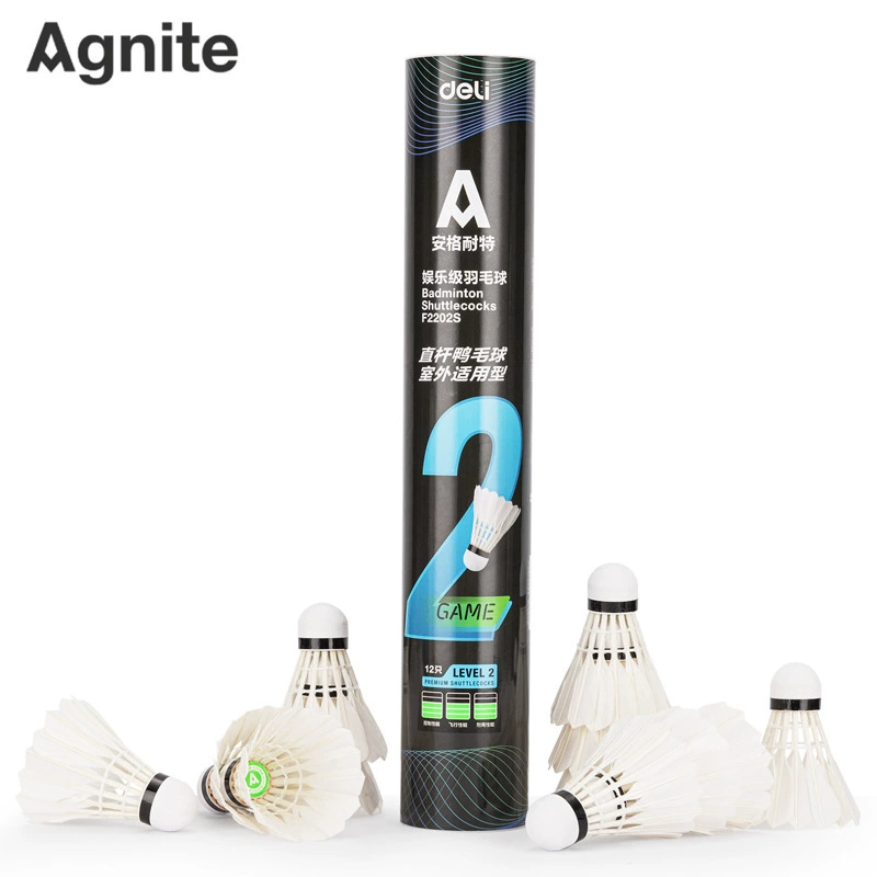 Anginet F2202S бадминтон (белый) (12/туба)