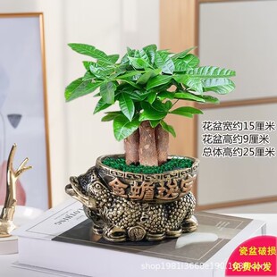 �����m�ßo��ꖹ�lؔ������ȩ�����՚���~�ӻ������ԾGֲ���B��