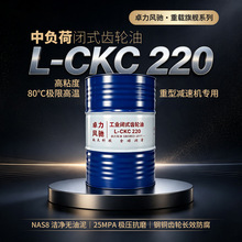 L-CKC220中负荷工业闭式齿轮油减速机专用矿山水泥钢厂OEM贴牌