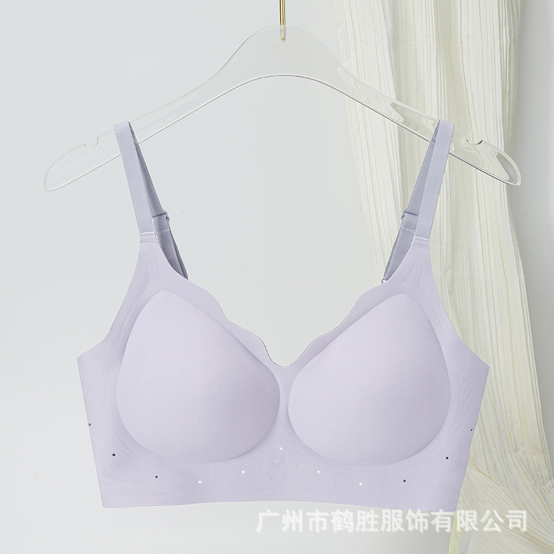 Venta directa de fábrica comercio electrónico transfronterizo Sudeste de Asia Vietnam Tailandia damas sin costuras sujetador de recogida lateral cómodo