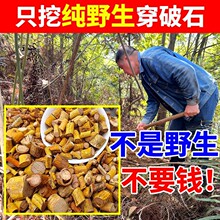 Ұ������ʯ��ș�ğo���؛ ���ڴ���ʯ���ֲ���ș�Ō�Ƥ����ʯ��