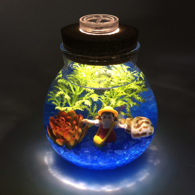 海底微景观摆件创意DIY生态瓶套装带灯夜光情人节礼物玻璃瓶子|ms