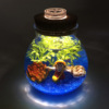 海底微景观摆件创意DIY生态瓶套装带灯夜光情人节礼物玻璃瓶子