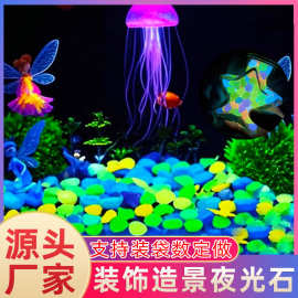 景观夜光石头发光石荧光碎石子花盆跑道装饰鱼缸水簇造景星空摆件