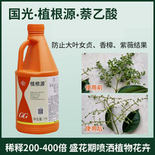 ����ֲ��Դ������@��ֲ������Ůؑ��ޱ���������Y��������ֹ�L