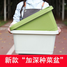 �̨�N����N�ˌ��������߲˲�ݮ�Nֲ�������L���λ������ϼ���