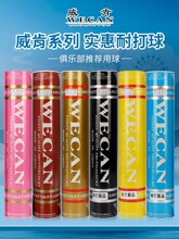 黑威肯/WECAN羽毛球耐打飞行稳定专业球馆训练比赛用球12只装