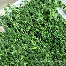 ]ޣϻޣӲ؈ݺmiüZ޲