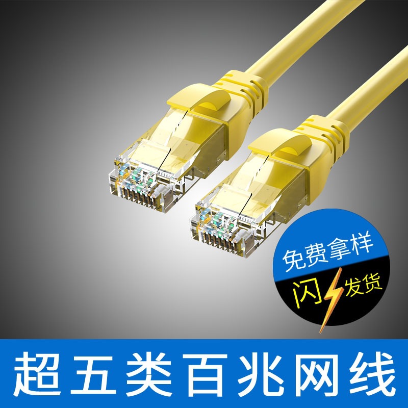 飞尼尔cat5e机房网线笔记本台式机无氧铜网络跳线 超五类成品网线