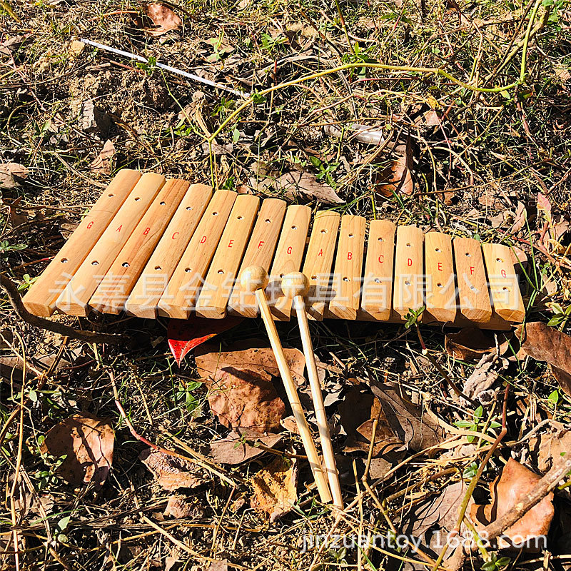 儿童乐器科教玩具 橡木15音敲琴 奥尔夫课程教学使用XL15A