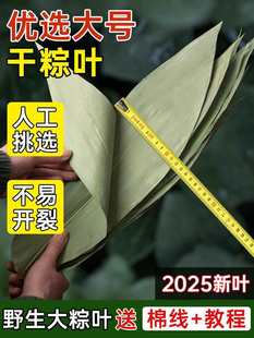 Large Dried Zongzi Leaves, Free Shipping, Fresh Hemp Bamboo Leaves, Commercial Zongzi Wrapping Materials, Wholesale for Dragon Boat Festival