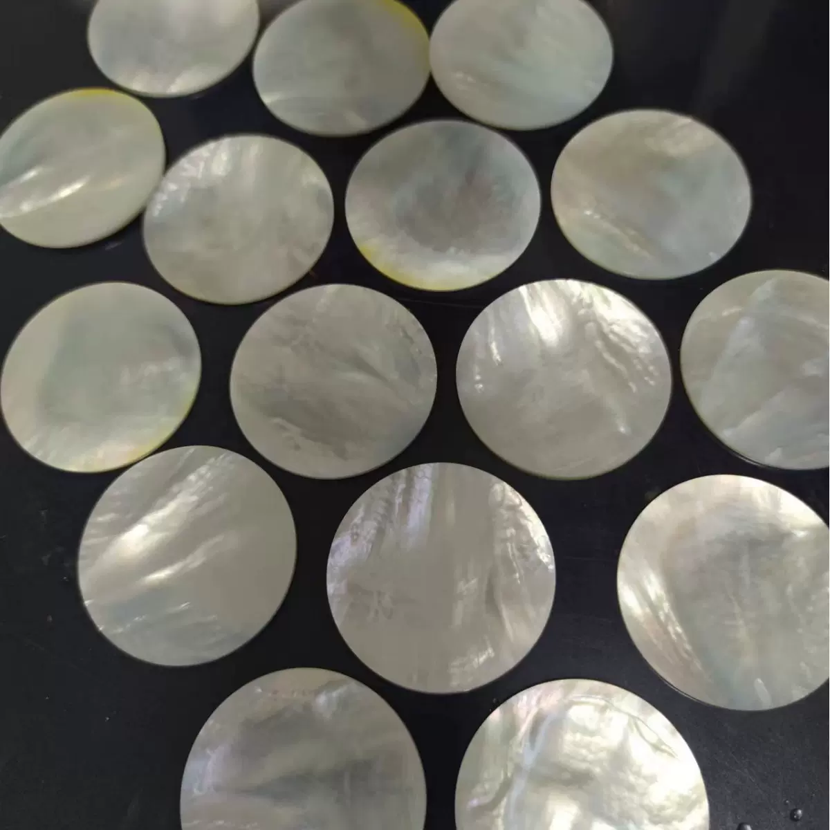 海贝工艺品 白蝶贝50mm圆 厚2MM贝 壳雕刻镶嵌 贝壳各种规格定型