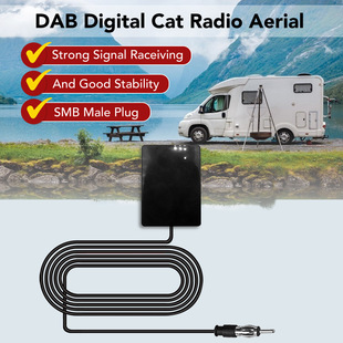 �S��ֱ�N܇�d�����C�쾀�๦�ܽM��FM/AM+DAB�[��ʽ�NƬ �����쾀