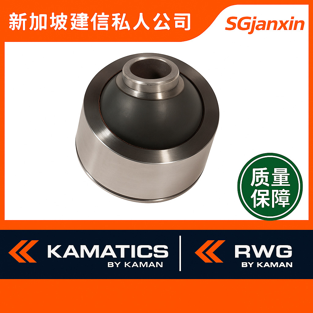 德国进口RWG轴承AGF 6 8 10 12 16 A E C轴承