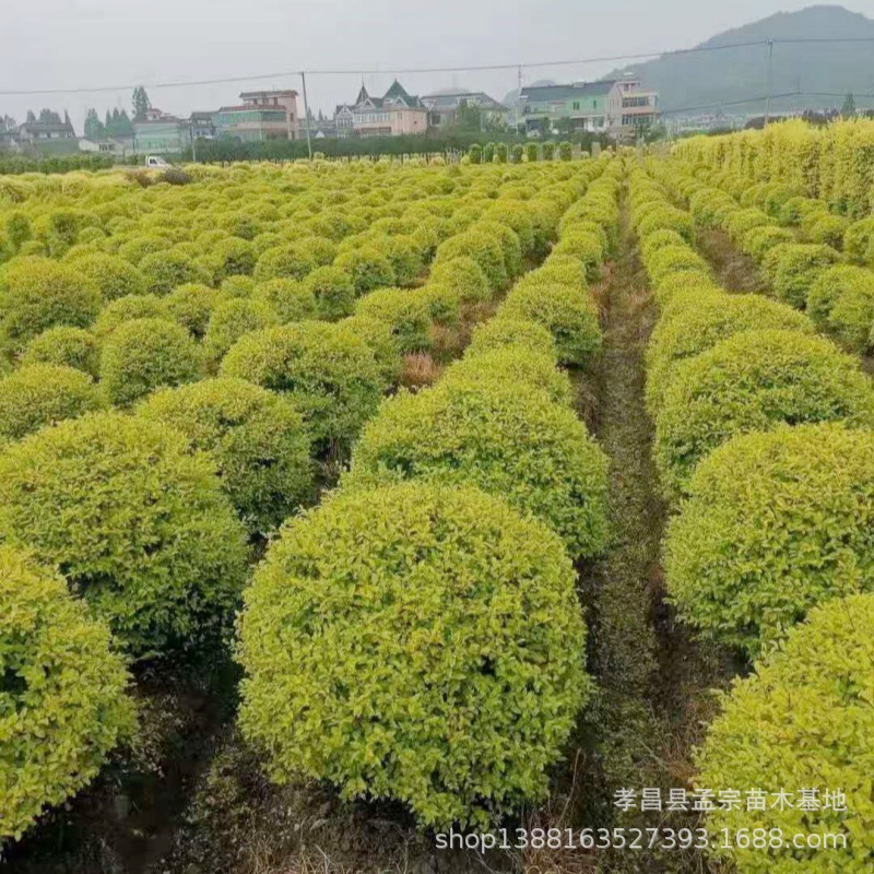 d97965971e0da67772beb2294b721b