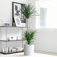 �·����w��Ѫ�����Դ����҃��̨�k��������ȩ�����՚�