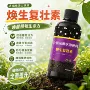 盆栽浓缩型植物多肉绿植