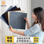 办公室地毯带胶写字楼满铺酒店会议室工程商用方块拼接家用地毯