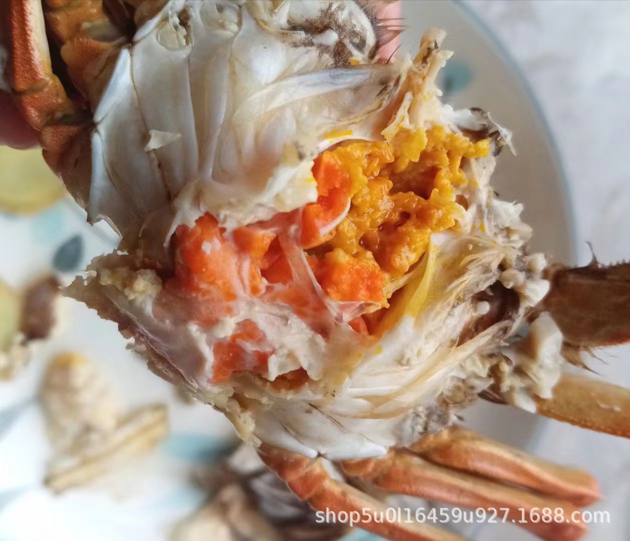 微信图片_20230907111353