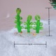 Water plants
